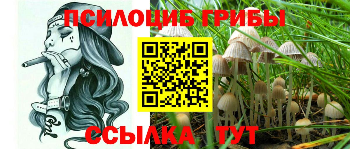 Галлюциногенные грибы мухоморы  Вход с VPN  Карачаевск 